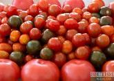 Uzbekistan to tighten control over tomatoes export