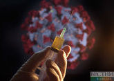 Over 24 mln Russians complete various stages of COVID-19 vaccination