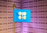 Expert: OPEC+ has recently become too sure of itself