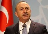 Cavusoglu thanks Azerbaijan for supporting fight against forest fires