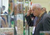 Myasnikov urges to eat nuts amid COVID-19 spread 