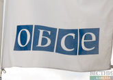 Withdrawal from OSCE not under consideration now