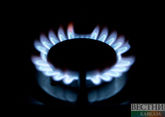 EC proposes to impose price cap on all Russian gas