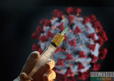 Swine flu pathogen detected in Armenia