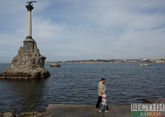Dolphins thrown into the sea not found yet in Sevastopol
