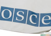 Russian lawmakers denied visas to partake in OSCE Parliamentary Assembly