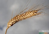 Russian Foreign Ministry confirms grain deal renewed