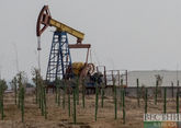 Saudi oil revenue falls to $25bn, lowest since February
