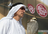 Why falcons are symbol of status in the Middle East 
