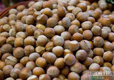 Hazelnuts from Georgia to rise in price