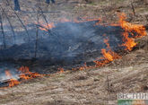 1.5 hectares of forest burn in Gelendzhik