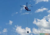 Helicopter fighting forest fire crashes in Türkiye