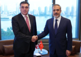 Georgia,Türkiye FMs discuss situation in the region