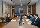 Azerbaijani FM discuss Armenia settlement with Secretary General of Council of Europe