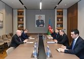Moscow and Baku discuss cultural ties development