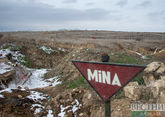 Azerbaijan cleared 7 thousand hectares of mines in Karabakh and East Zangezur