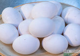 Kazakhstan may increase egg supplies to Russia