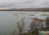 Ban on coregonus fishing extended  in Sevan