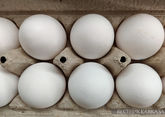 Over 4 million eggs arrive from Azerbaijan to Russia