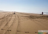 UAE in talks to develop beach land in Egypt