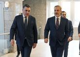 Georgian and Turkish FMs discuss latest regional developments