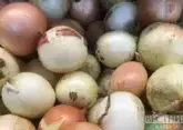 Kazakhstan risks losing last year&#039;s onion harvest