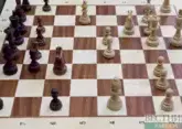 Chess player from Azerbaijan starts tournament in Toronto with a draw