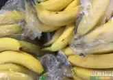  Kazakhstan starts growing Turkish bananas 