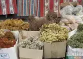 Unemployed to collect medicinal herbs in Ingushetia