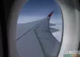 Bird prevents plane from Antalya to reach Sochi