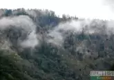 Forest fires spreading in Türkiye