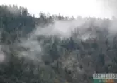 Firefighters stop wildfires spreading in Türkiye
