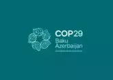 Azerbaijan to issue &quot;special COP29 visas&quot;