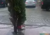 Heavy rain in Sochi triggers floods