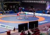 Two Azerbaijani wrestlers win gold medals