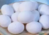 Akmola region to process million eggs per day