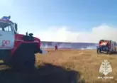 Dry grass burning in Crimea