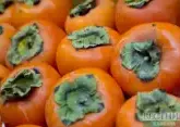 Azerbaijan world’s 2nd top persimmon exporter