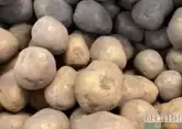 Russia achieves full potato self-sufficiency