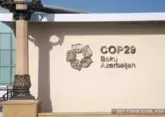 60 joint documents to be adopted at COP29