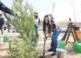 Thousand of young trees planted in Baku