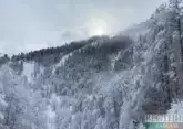 Avalanche danger declared in mountains of Sochi