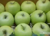 Apples from North Caucasus completely replaced Polish fruits