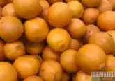 Main suppliers of tangerines to Stavropol territory announced