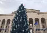 New Year in Tbilisi: main Christmas tree lit up without ceremony