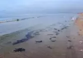 New oil spills cover shores of Anapa