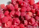 Berry plantations worth 140 million rubles to be established in Stavropol Territory