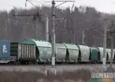 Herd of horses stops train in Atyrau region of Kazakhstan