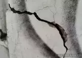 Earthquake occurs in Dagestan 