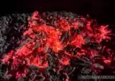 Fire on Elbrus: Cafe burns down at Mir station